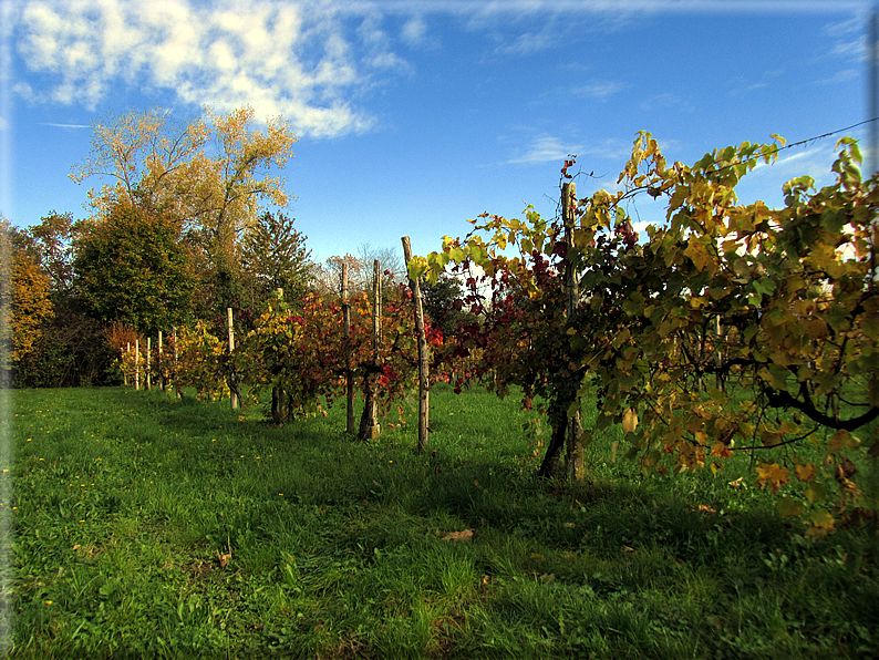 foto Colli Asolani in Autunno